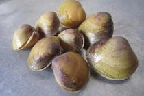 Khỏe tim mạch, ngừa thiếu máu với món ngon đưa cơm mùa hè