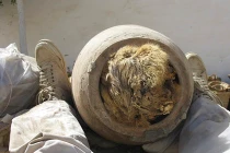 Tiết lộ thú vị về mai táng chó Ai Cập cổ đại 