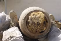 Tiết lộ thú vị về mai táng chó Ai Cập cổ đại 