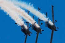 Mãn nhãn với đàn chim sắt bay lượn tại triển lãm Berlin