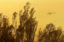 Vụ cháy rừng California là do cố ý?