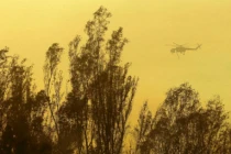 Vụ cháy rừng California là do cố ý?