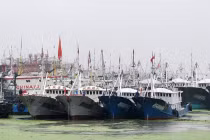 Âm mưu đằng sau lệnh cấm đánh bắt cá mùa hè của Trung Quốc