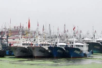 Âm mưu đằng sau lệnh cấm đánh bắt cá mùa hè của Trung Quốc