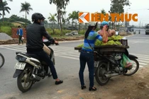 Giật mình nho 15.000 đồng/kg lần đầu xuất hiện ở Hà Nội