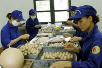 Đột nhập nhà máy Z121 phát nổ như bom ở Phú Thọ