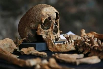 Rùng rợn 25 bộ hài cốt tiết lộ bí ẩn “Cái chết Đen“