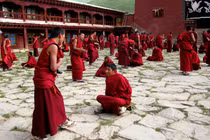 Chư Tăng Sikkim bỏ phiếu bầu vị Lạt-ma đại diện