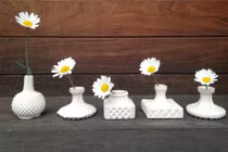 Hết thuốc chữa