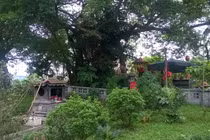 Đền “vua quan giải hạn” trong Trung tâm hội nghị quốc gia