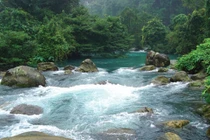 Kỳ bí suối trường thọ hồi sinh xác chết ở Nghệ An