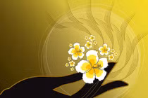 Suy nghiệm lời Phật: Bố thí rộng khắp