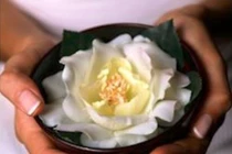 Nhân duyên của giàu nghèo