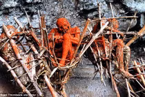 Dựng tóc gáy xác ướp hun khói trên vách đá cheo leo 