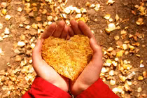 Hôn nhân nghèo có hạnh phúc?