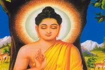 Phật Thích Ca và Phật A Di Đà khác nhau thế nào?