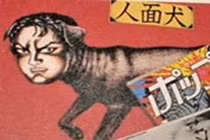 Chuyện lạ lùng về chó mặt người ở Nhật Bản 