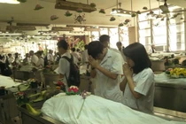 Nghĩ về lễ Macchabée - tri ân người hiến xác