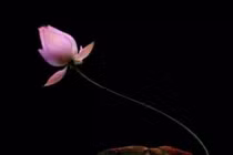 Sai lầm lớn nhất trong cuộc đời