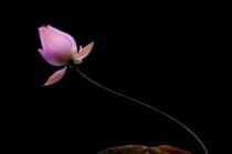 Sai lầm lớn nhất trong cuộc đời