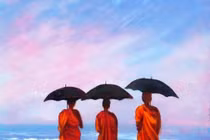 Tu tập xả ly phải chăng là vô cảm?