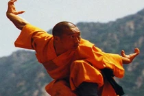 Những quyền pháp trứ danh của võ thuật Trung Hoa