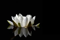 Thắc mắc về nhân quả