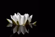 Thắc mắc về nhân quả