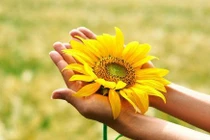 Gieo quẻ thứ năm (17/4) cho 12 con giáp 