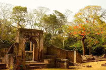 Bí ẩn không lời giải về thành phố giữa rừng hoang