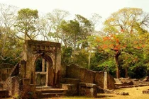 Bí ẩn không lời giải về thành phố giữa rừng hoang