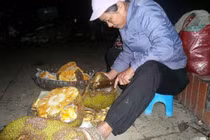 Hoảng hồn với công nghệ hóa tươi hoa quả thối