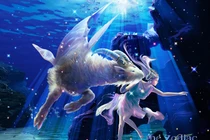 5 cung hoàng đạo nữ khiến phái mạnh phát cuồng