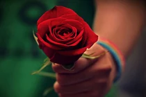 Nên bao dung, chớ nên dung túng 