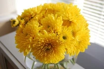 5 loại hoa may mắn nên bày trong dịp Tết