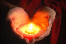 An vui khi phục vụ