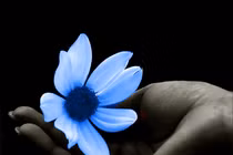 Cái buồn ta gạt, cái vui ta bòn