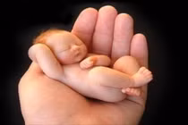 Thần thức có mặt trong bào thai khi nào?