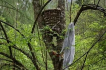 Huyền bí rừng ma đồng nhi