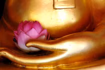 Tận tâm, tận lực, tận khả năng học tập 