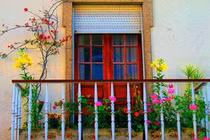 Phong thủy: Bí quyết đơn giản để cải tạo vận mệnh 