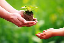 Cần làm phước để hồi hướng