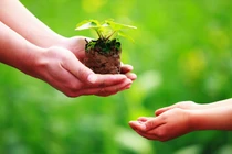 Cần làm phước để hồi hướng