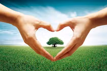 Xin một chút tâm từ