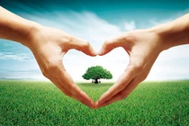 Xin một chút tâm từ