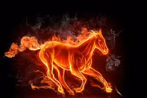 Đoán vận hên xui tháng 1 cho 12 con giáp (2) 