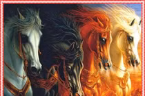 Vì sao người xưa ví Ngựa là “Rồng trên mặt đất”? 