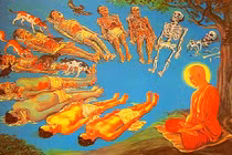 Thấy rõ những điều không vui