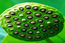 Chuyển hóa mười ác nghiệp