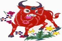 Bói vận mệnh tuổi Sửu trong tháng 8